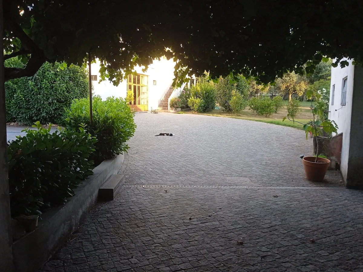 Quinta da Destilaria, Lousã, Coimbra: photo 2